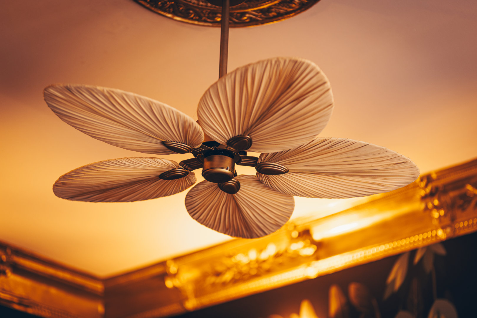 JUNGLE APARTMENTS S.C. - 7